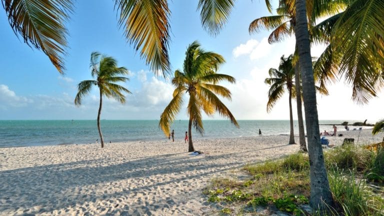 Absolute Best Time to Visit Key West