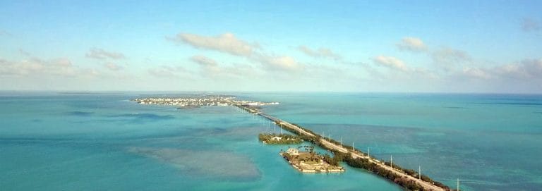 Beautiful “Bleeding Heart” Vines – Most Fitting Blooms for Key West’s “One Human Family”