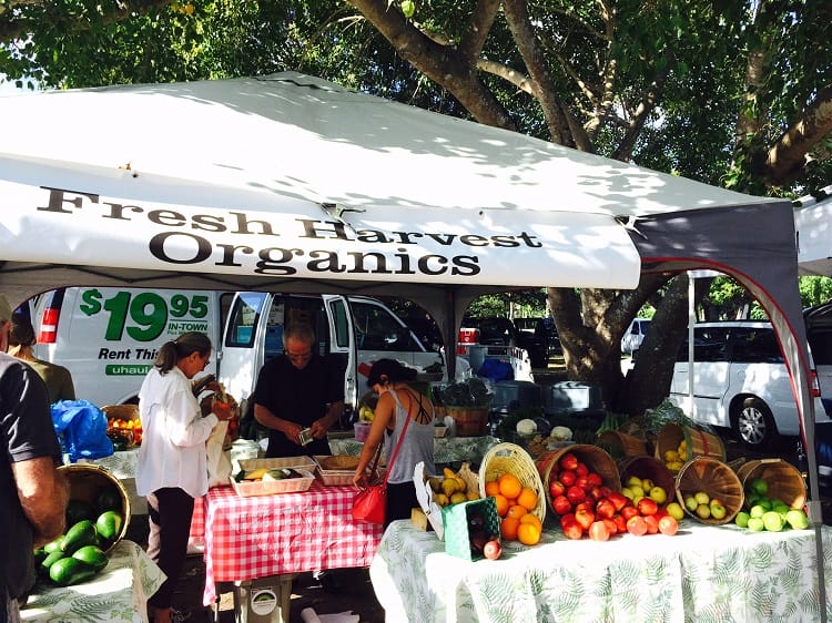 Getting Healthy in Key West