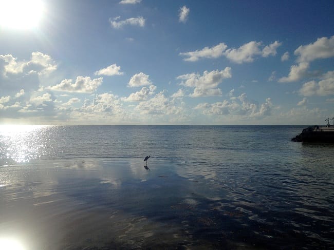 Tranquility found on the Island of Key West