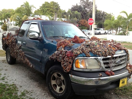 Key West Truck Becomes a Rolling ‘Coral Reef’