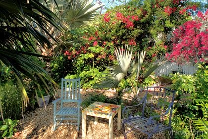 Springtime in Key West: Discovering the Subtle Seasonal Changes